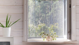 Window View 04