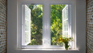 Window View 06
